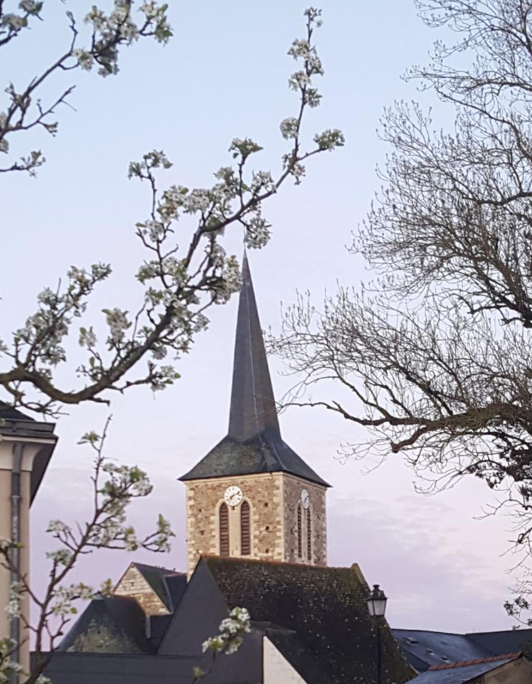 Gite Angers Proche Briollay Exterior photo