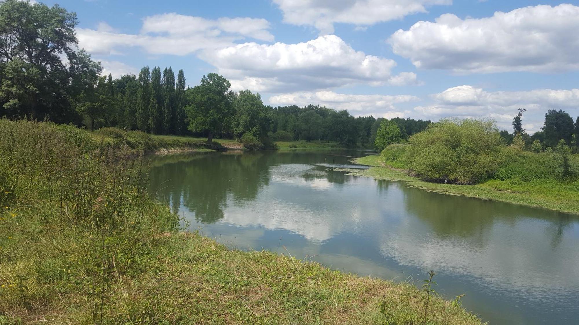 Gite Angers Proche Briollay Exterior photo