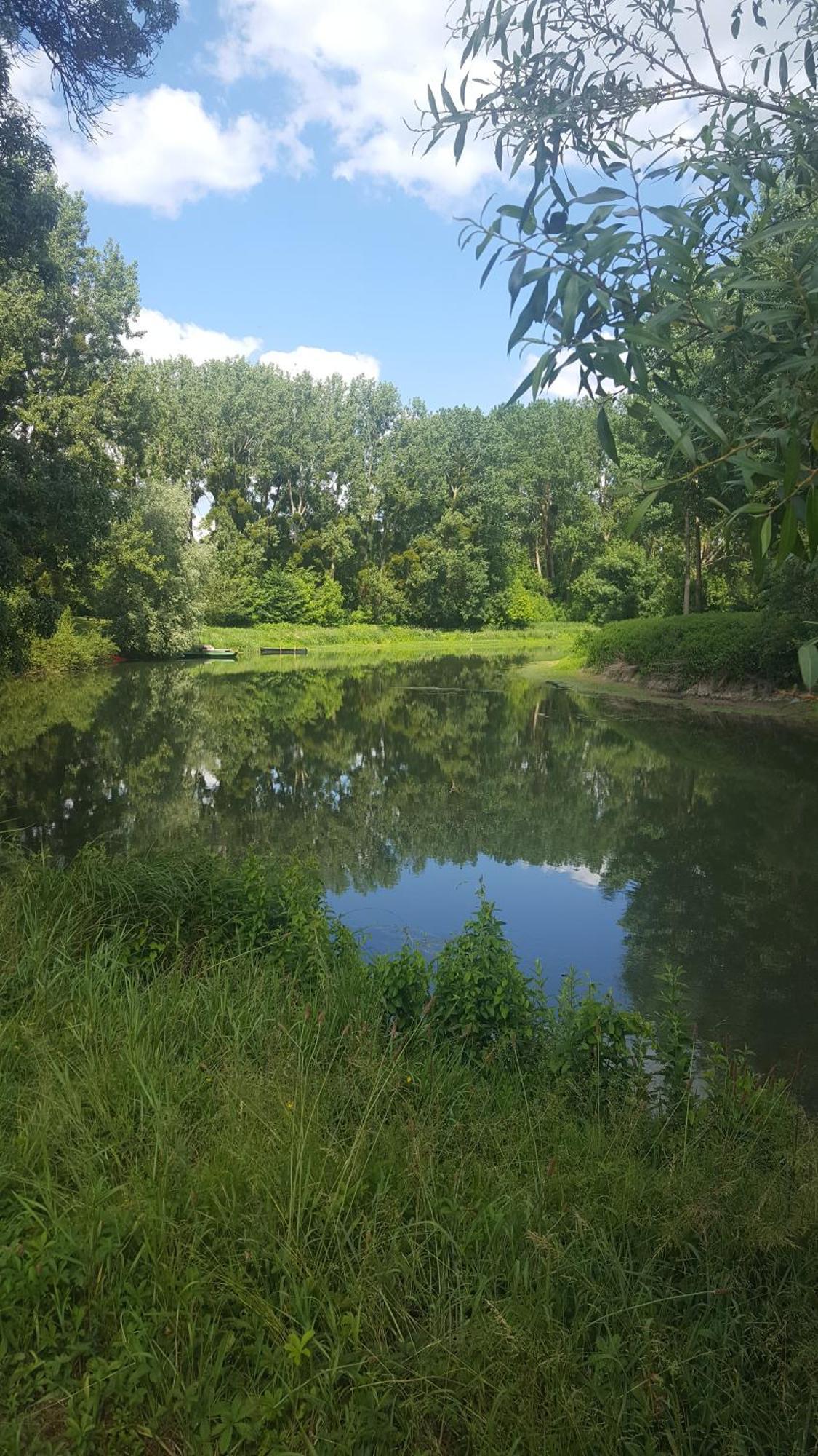 Gite Angers Proche Briollay Exterior photo